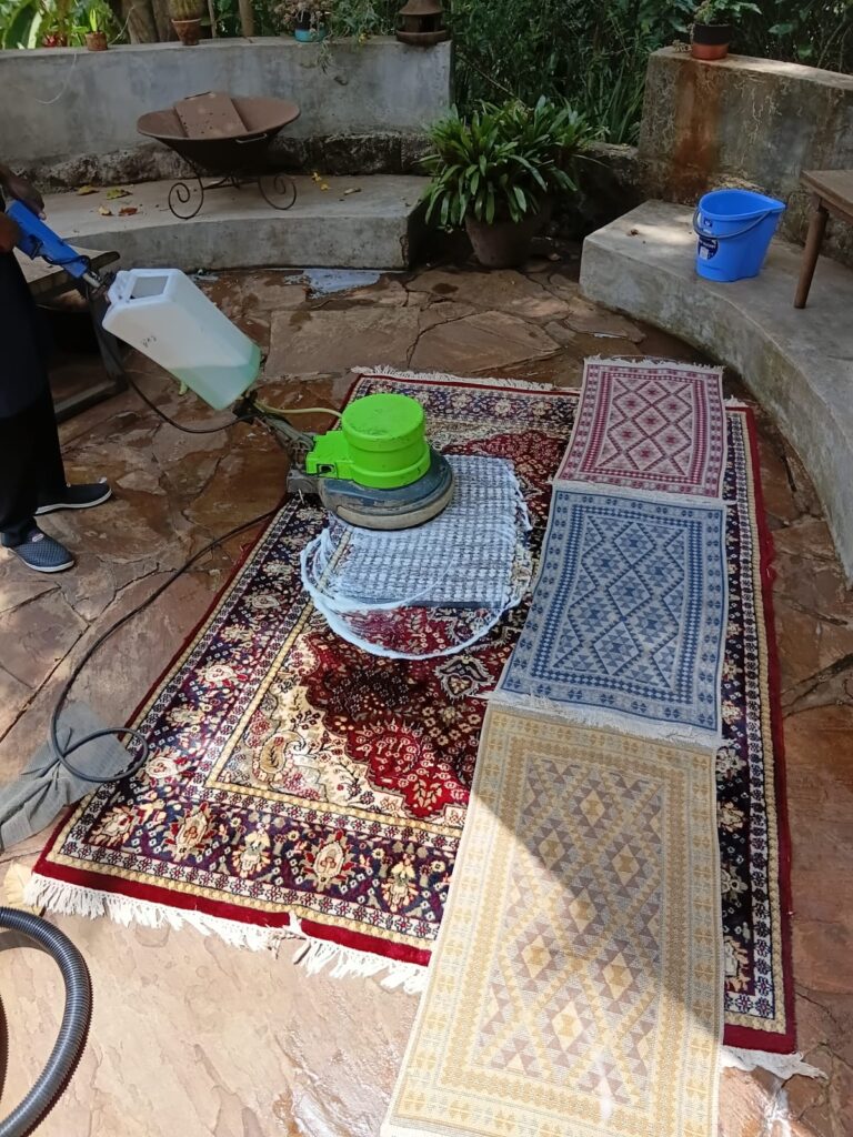 carpet cleaning services