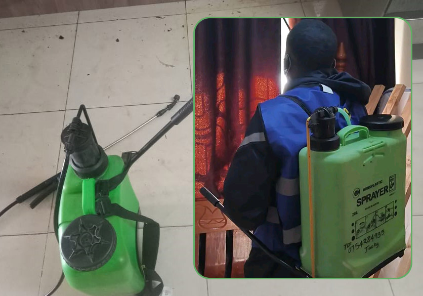 fumigation services